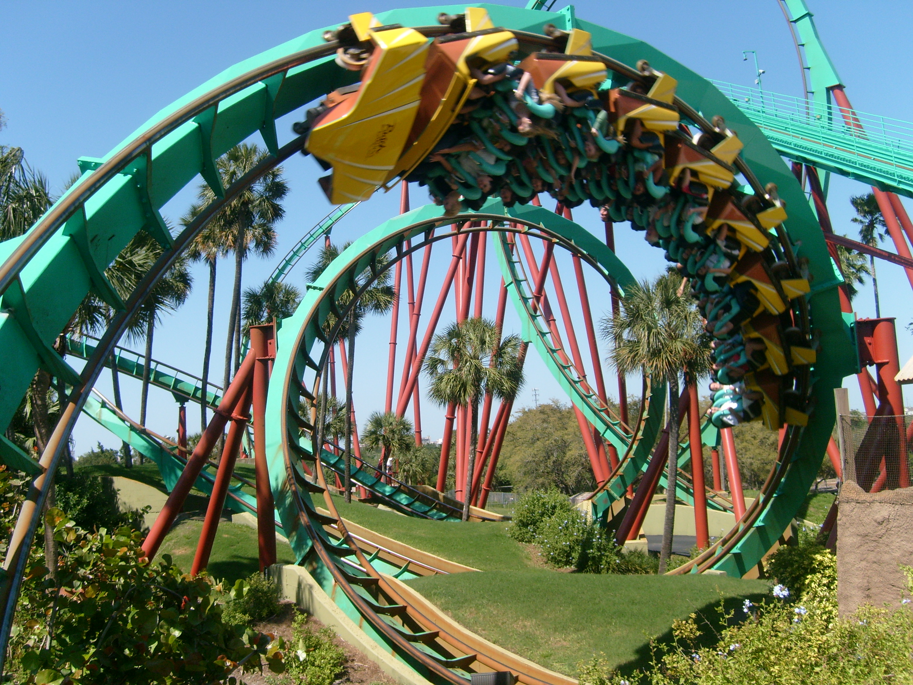 Kumba_at_Busch_Gardens_Tampa