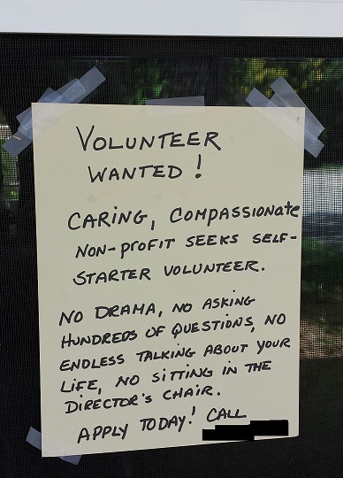 caring-volunteer-wanted
