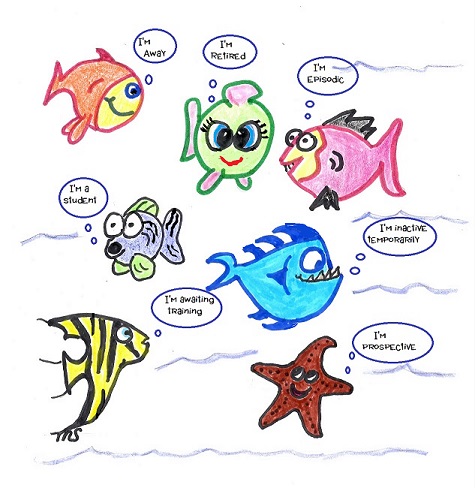 The Volunteer Periphery