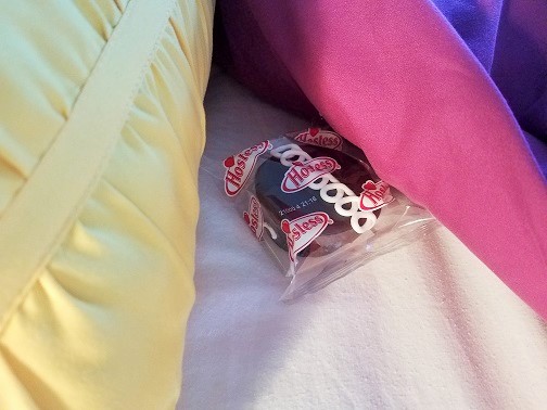 a volunteer managers hidden cupcake new years resolutions