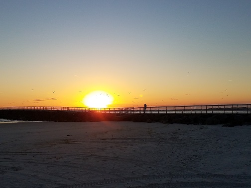 Sometimes, You Fight the Good Fight and Sometimes, You Go