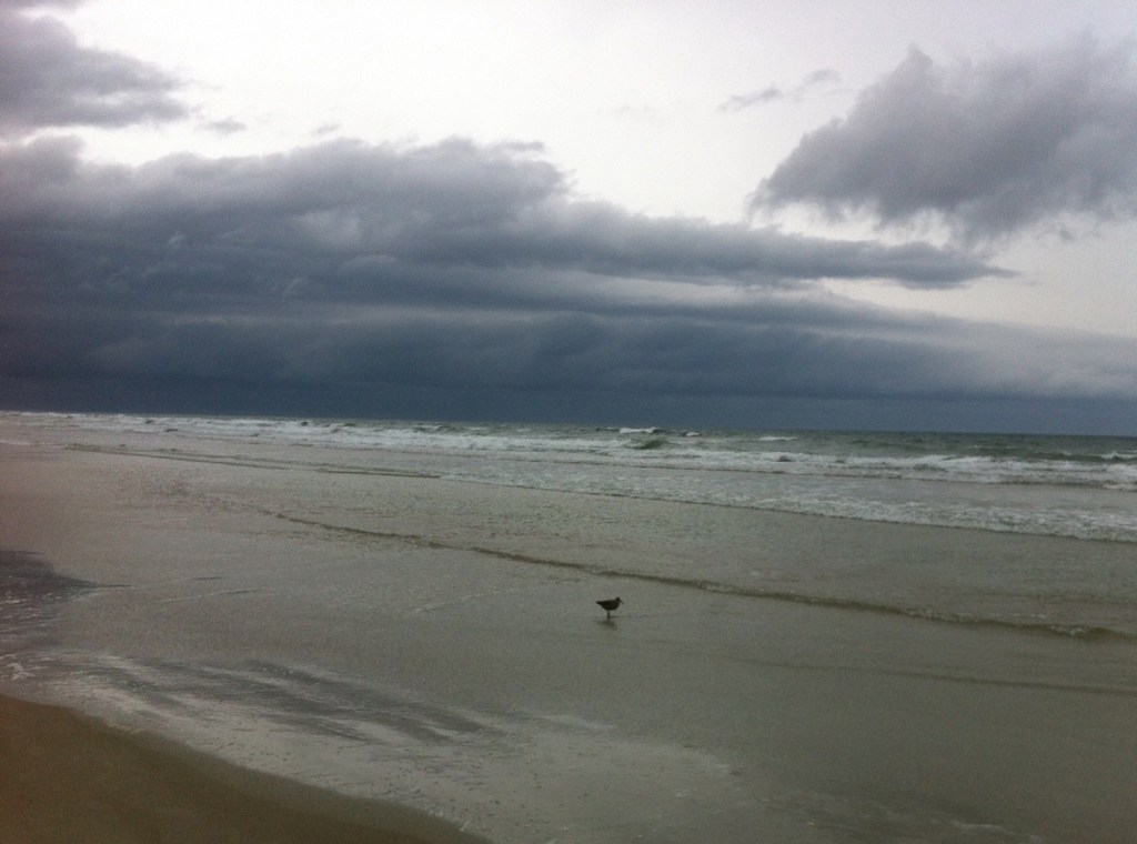 Volunteer Management: A Kiddie Pool or an Ocean?