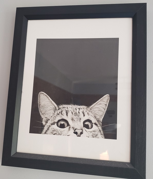 Volunteer Managers, We Have the Picture; We Just Need the&nbsp;Frame